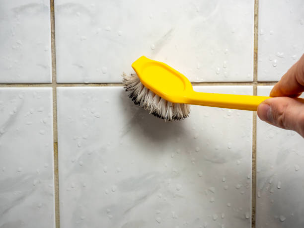 Best Commercial Mold Removal  in Welcome, NC