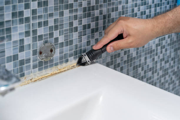 Welcome, NC Mold Removal Company